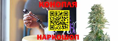 амф Аша